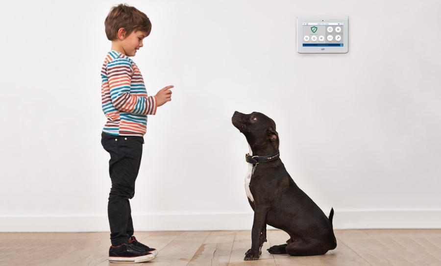 Olive Branch security systems